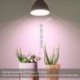 Necgemlex 2 Pack A70 Grow Light Bulb , E26 110V 7W Full Spectrum LED Plant Light Bulb for Indoor Plants, Flowers, Greenhouse, Indore Garden, Hydroponic