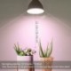 Necgemlex 2 Pack A70 Grow Light Bulb , E26 110V 9W Full Spectrum LED Plant Light Bulb for Indoor Plants, Flowers, Greenhouse, Indore Garden, Hydroponic